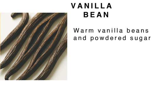 Whipped Mango Body Butter 8 oz.