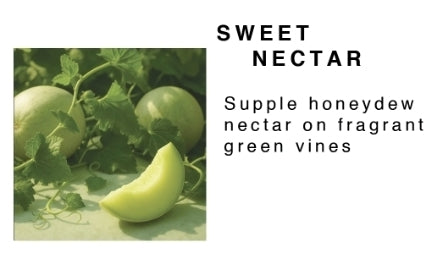 Mango Butter Body Lotion (8oz)