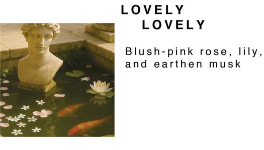 Whipped Mango Body Butter 4 oz.