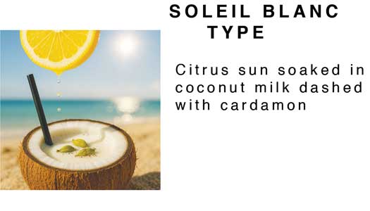 Mango Butter Body Lotion (4oz)