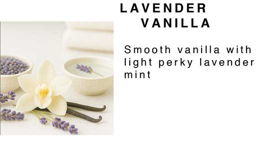 Whipped Mango Body Butter 4 oz.