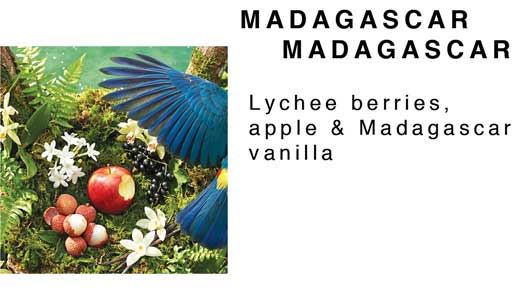 Mango Butter Body Lotion (8oz)