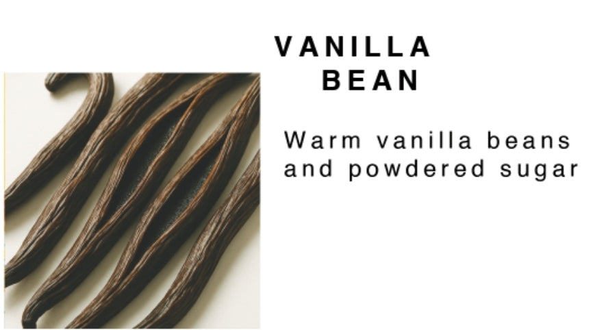 Mango Butter Body Lotion (8oz)